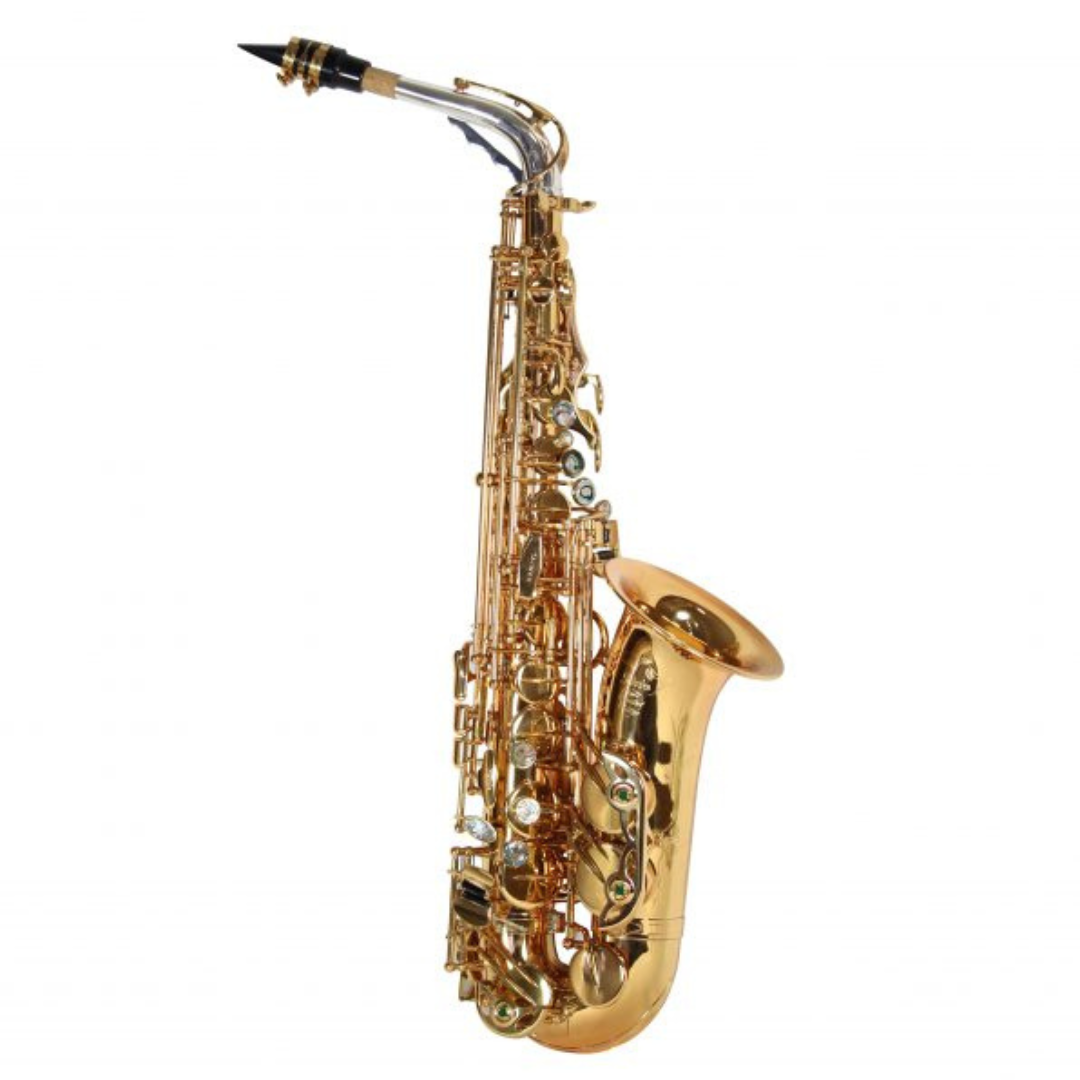 Saxofone Alto Jahnke Custon Eb JSAH102 » Elo Cordas e Sopro 2024