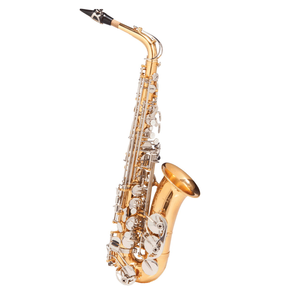 Saxofone Alto Michael Dual Gold WASM49 » Elo Cordas e Sopro 2024